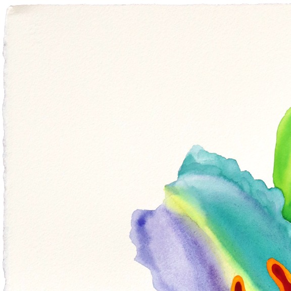 Xiao Wen Xu: Rainbowland Daylily image 2