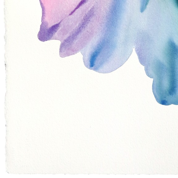Xiao Wen Xu: Rainbowland Petunia image 2