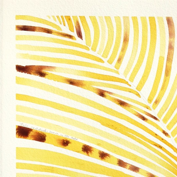 Heidi Lowell: Vietnam Pigment Study: Gardenia Fruit + Iron Oxide image 2