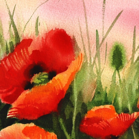 Anna Kudriashova: Poppies 2 image 2