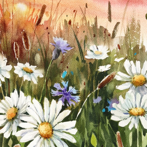Anna Kudriashova: Sunset Daisies image 2