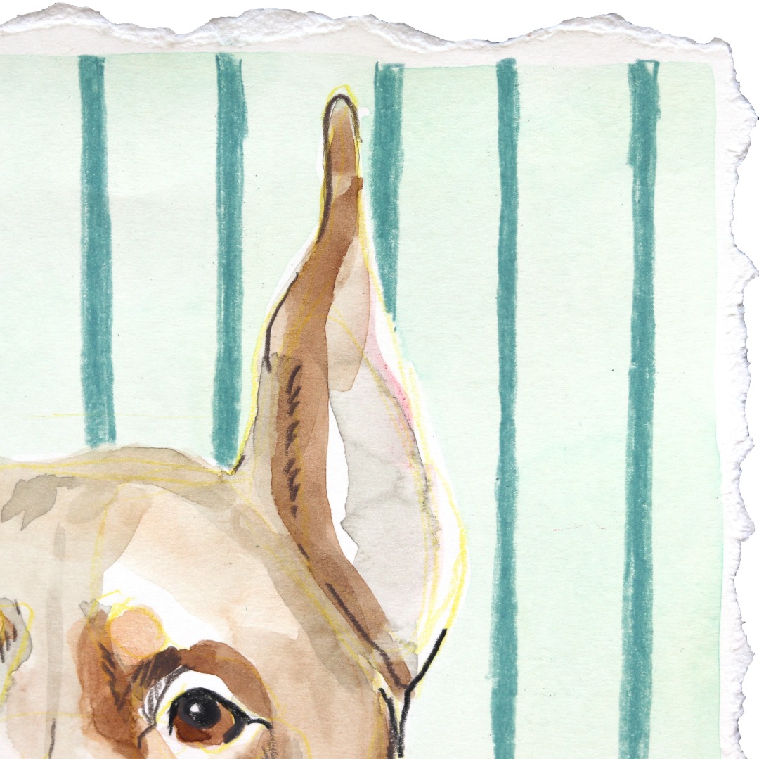 Kellie Newsome: Alert image 3