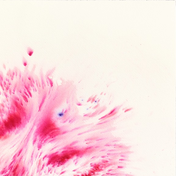 Xiao Wen Xu: Flamingo Lily image 3