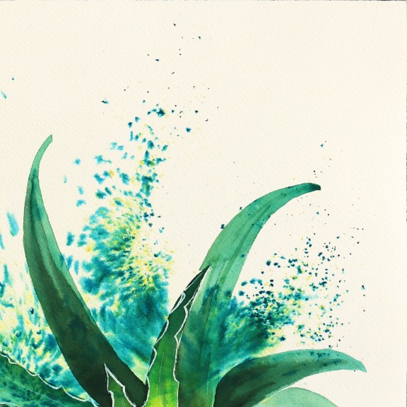 Xiao Wen Xu: Aloe Vera image 3