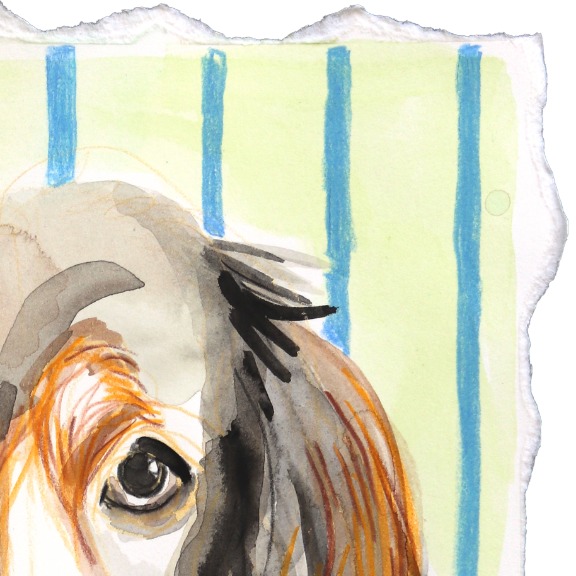 Kellie Newsome: Long Hair, Short Legs image 3