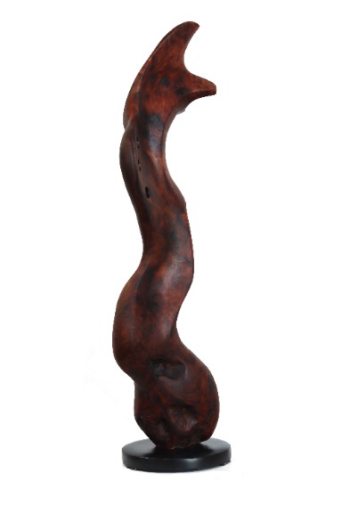 Joe Garnero: Diva image 3