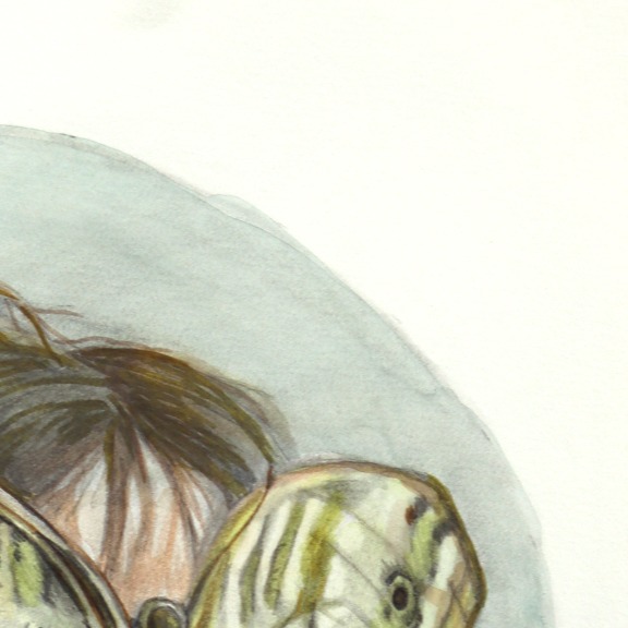 Amanda Immurs: A Moment Where Wonder Takes Over image 3