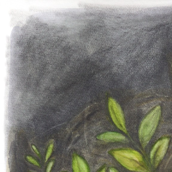 Amanda Immurs: Trees Did Not Ask Me to Speak image 3