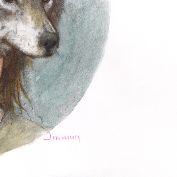 Amanda Immurs: I Stand Tall and Growl image 3