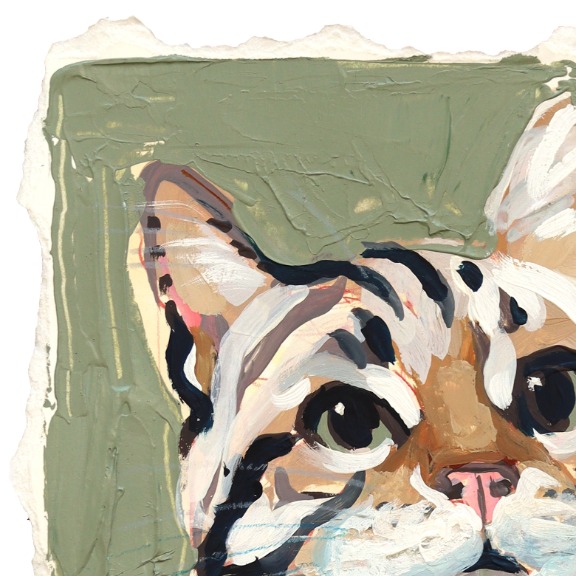Kellie Newsome: Fascinating Feline image 3