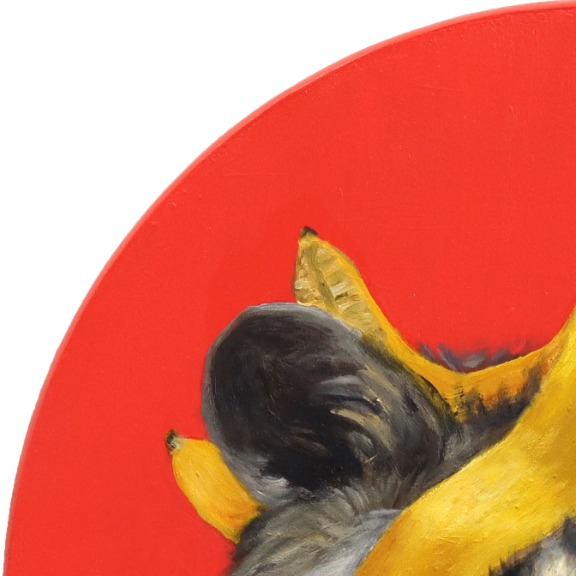 JJ Galloway: Raccoon with Banana Bangs image 3