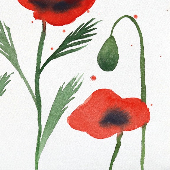 Xiao Wen Xu: Poppies II image 3