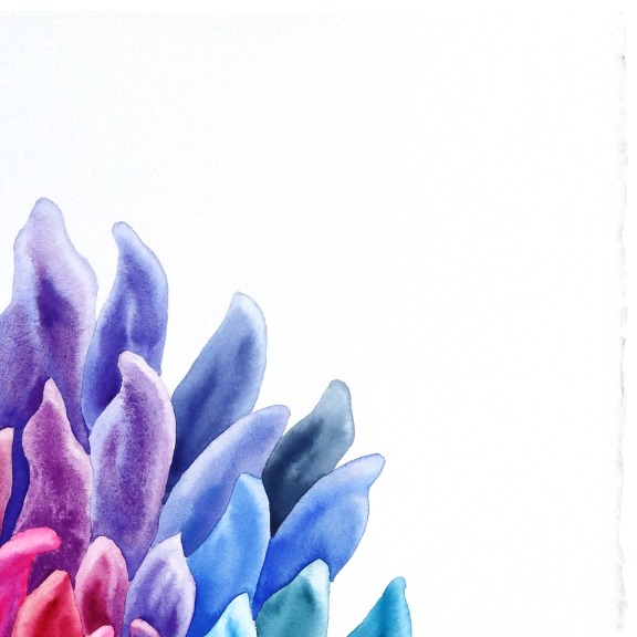 Xiao Wen Xu: Rainbowland Chrysanthemum II image 3
