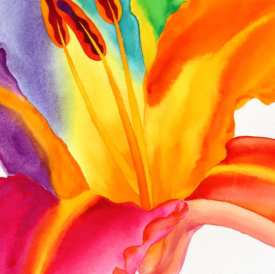 Xiao Wen Xu: Rainbowland Daylily image 3