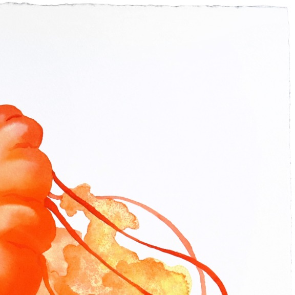 Xiao Wen Xu: Rainbowland Jellyfish Kiss image 3
