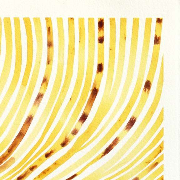 Heidi Lowell: Vietnam Pigment Study: Gardenia Fruit + Iron Oxide image 3