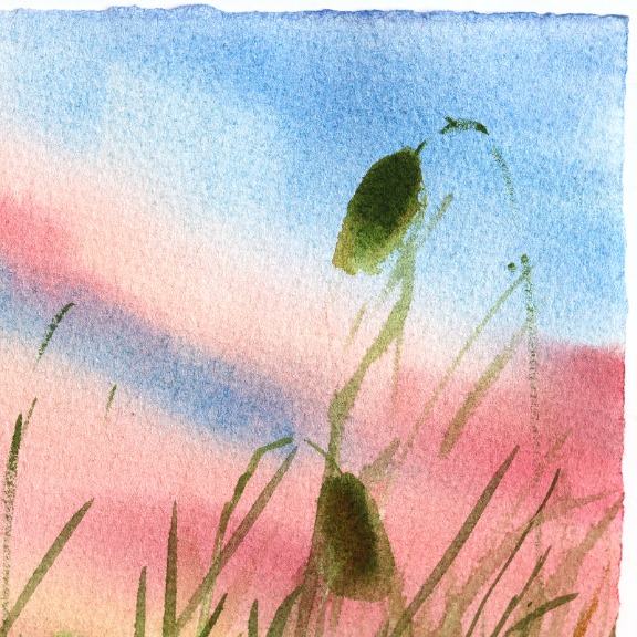 Anna Kudriashova: Poppies 2 image 3