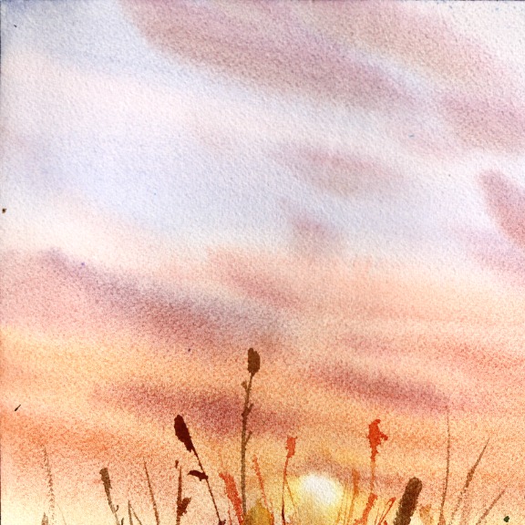 Anna Kudriashova: Sunset Daisies image 3