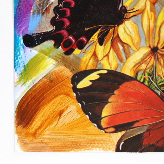 Lindsey McCord: Butterfly Bombshell 2 image 4