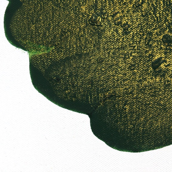 Clara Berta: Golden Emerald image 4