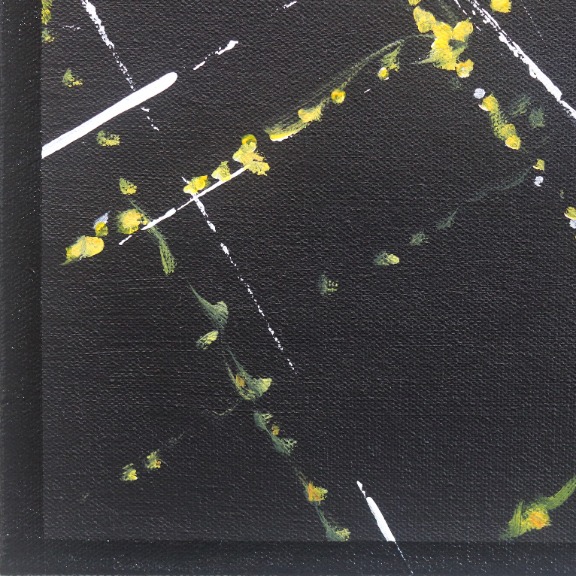 Pete Kasprzak: Holloway Sunset Aerial image 4