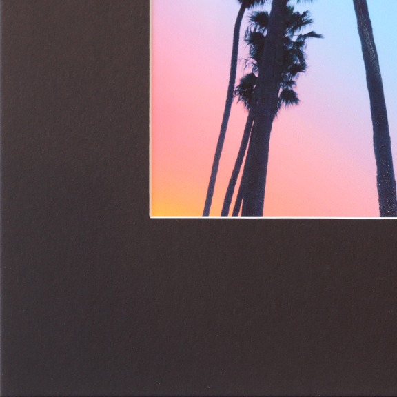 Pete Kasprzak: Santa Barbara Sky High Palms I image 4