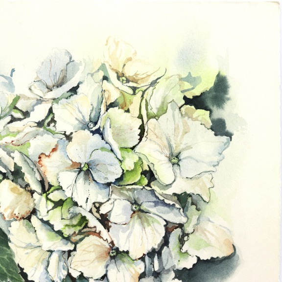 Anna Kudriashova: Green and White Hydrangeas image 4
