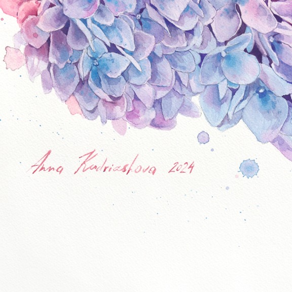 Anna Kudriashova: Pink Cloud Hydrangeas image 4