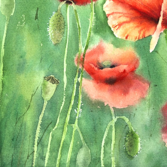 Anna Kudriashova: Poppies With a Green Background image 4