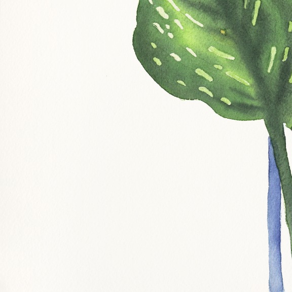 Xiao Wen Xu: Rainbowland Calla Lily Leaves II image 4