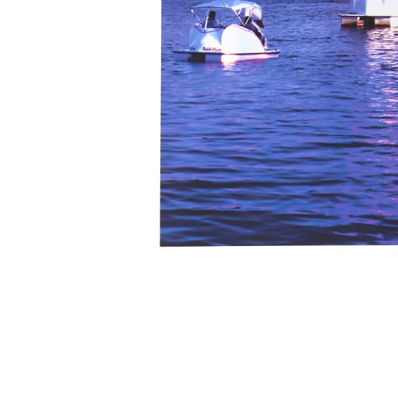 Pete Kasprzak: Echo Park Swans image 4