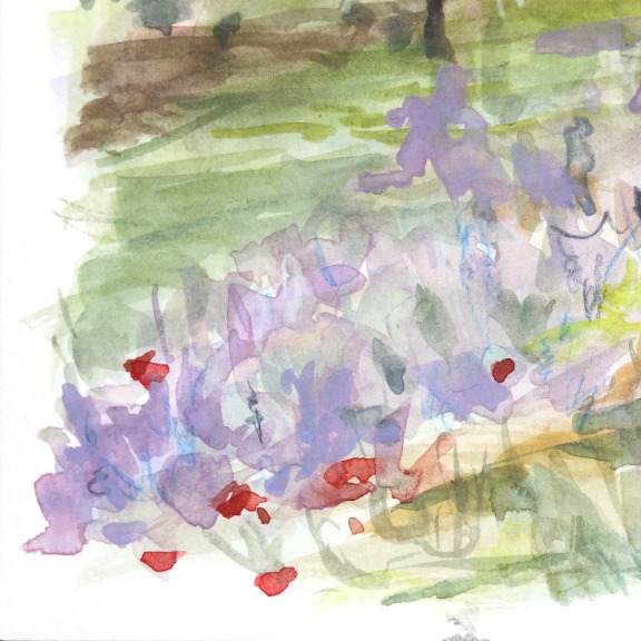 Ama Liyanage: Wild Flowers image 4