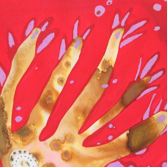 Krisanne Souter: A Potted Succulent and a Rhizome image 4