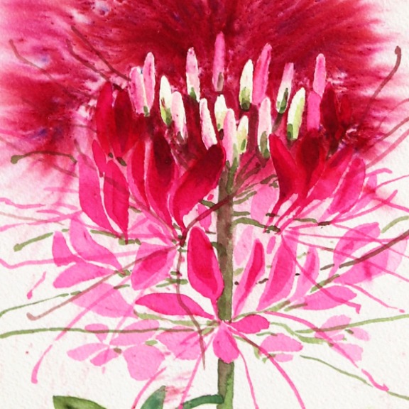 Xiao Wen Xu: Spider Flower image 4