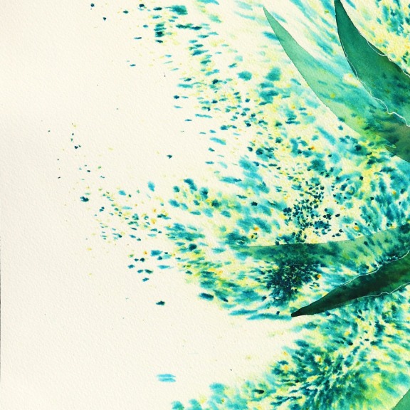 Xiao Wen Xu: Aloe Vera image 4