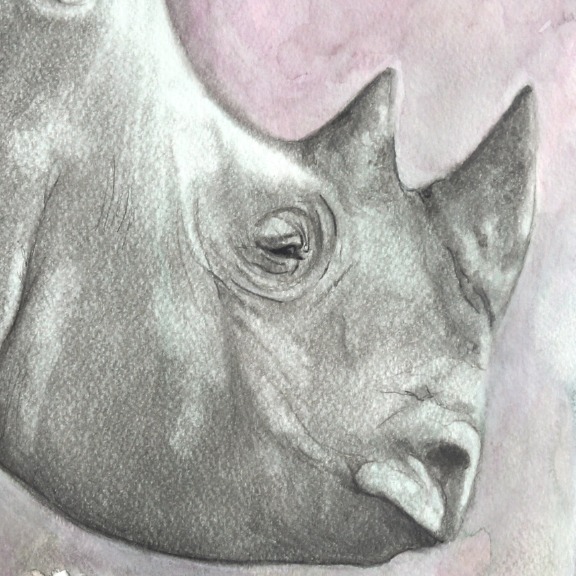 Amanda Immurs: A Tender Bare Heart image 4