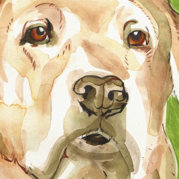 Kellie Newsome: Labradorable image 4