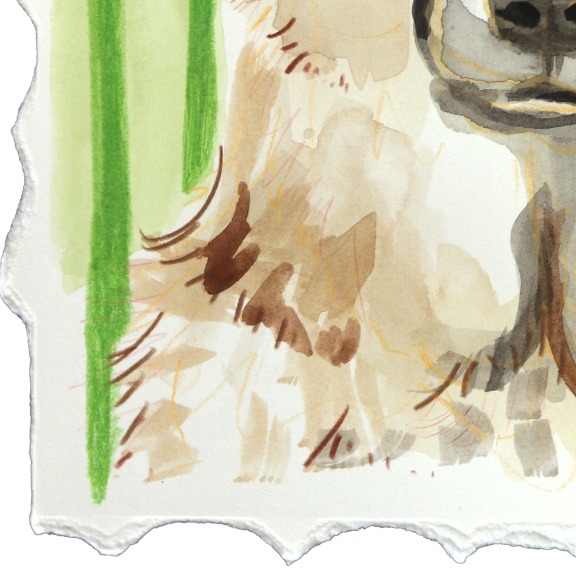 Kellie Newsome: Loyal Shepherd image 4