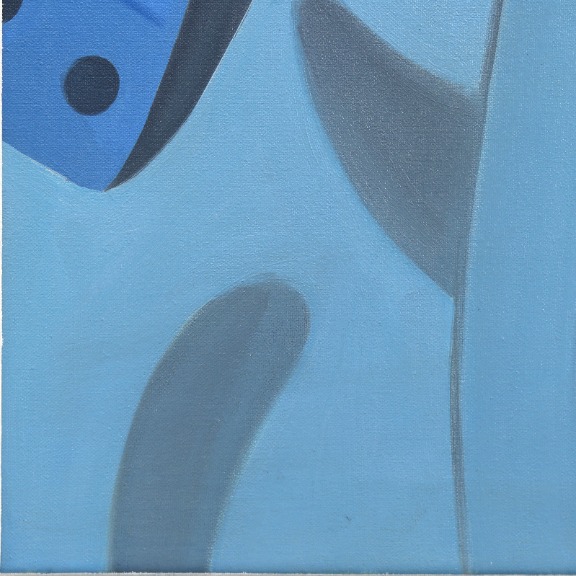 Darwin Estacio Martinez: Black Belt image 4