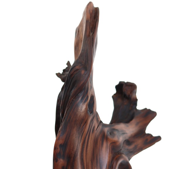 Joe Garnero: Deep Roots image 4