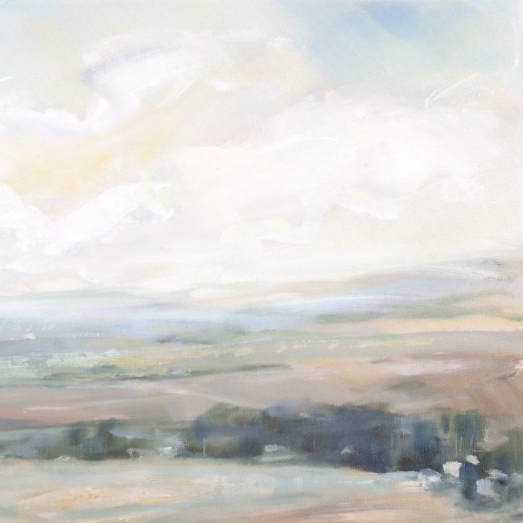 Jodi Miller: Following Dreams image 4