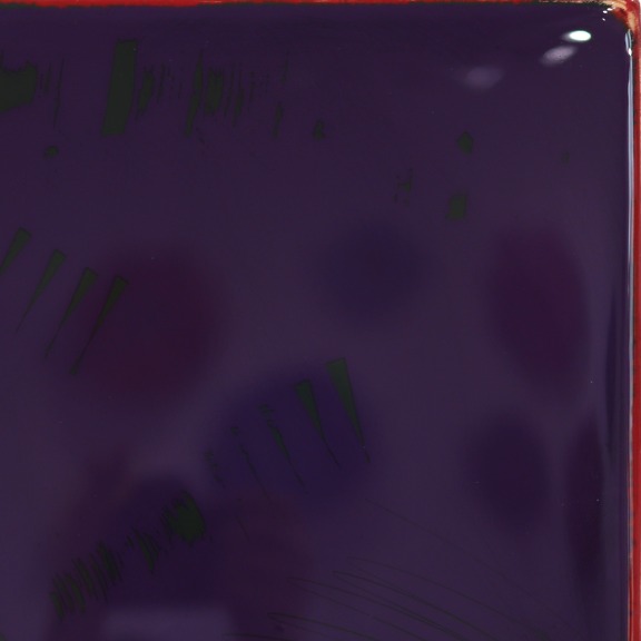 Ricky Hunt: Tall Sunspot 50 image 4