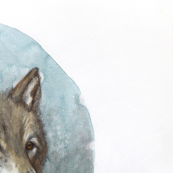 Amanda Immurs: I Stand Tall and Growl image 4