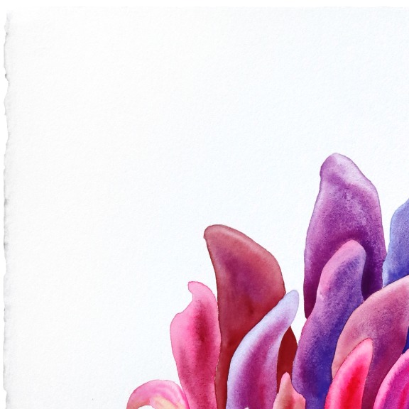 Xiao Wen Xu: Rainbowland Chrysanthemum II image 4