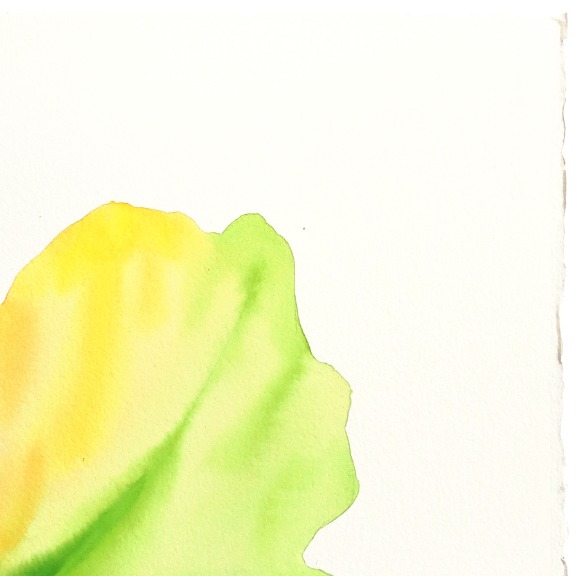 Xiao Wen Xu: Rainbowland Petunia image 4