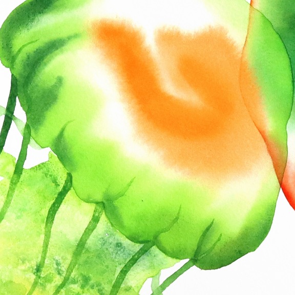 Xiao Wen Xu: Rainbowland Jellyfish Kiss image 4