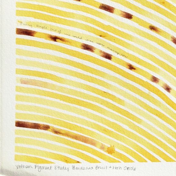 Heidi Lowell: Vietnam Pigment Study: Gardenia Fruit + Iron Oxide image 4