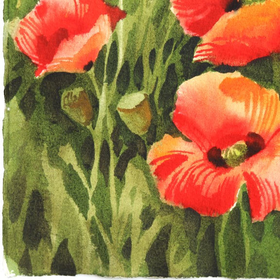 Anna Kudriashova: Poppies 2 image 4