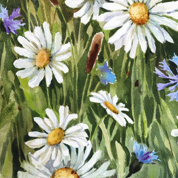 Anna Kudriashova: Sunset Daisies image 4