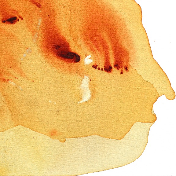 Clara Berta: Magical Gold image 5